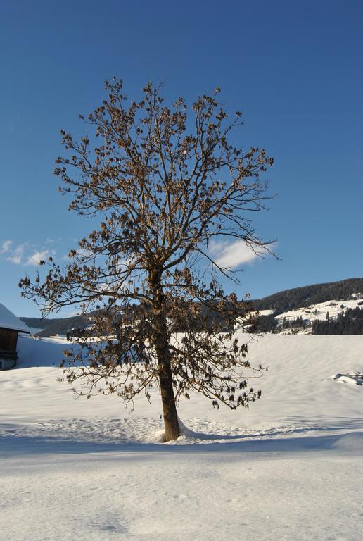 Ferienwohnung Trogerhof Toblach Exterior foto